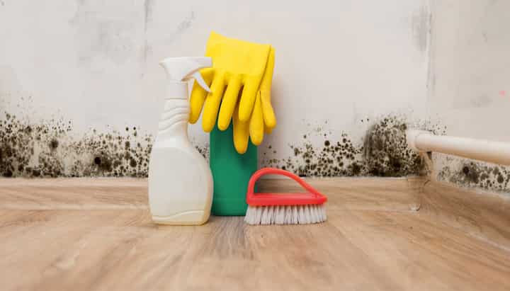 We offer fast and reliable services to help remove and prevent mold growth in your home or business in Indianapolis, Indiana